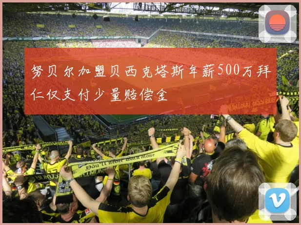 努贝尔加盟贝西克塔斯年薪500万拜仁仅支付少量赔偿金